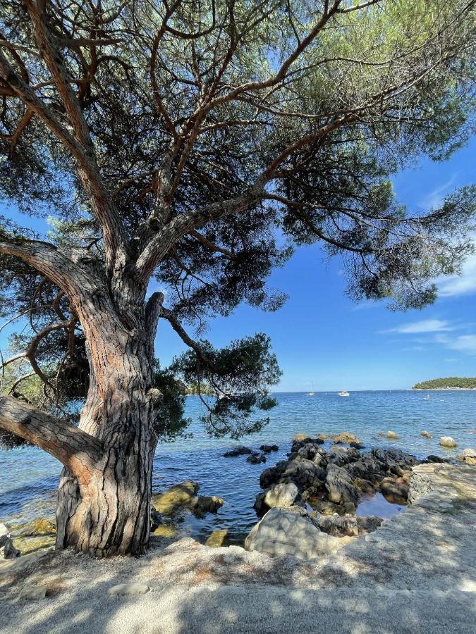 Clorinda Sea View Free Parking Apartment Rovinj Exterior photo